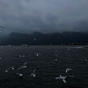 性欧美XXX老师护士
